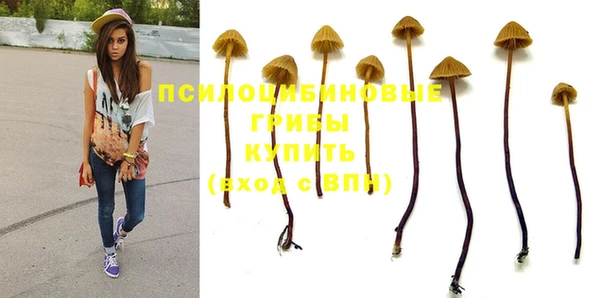 метадон Алексеевка