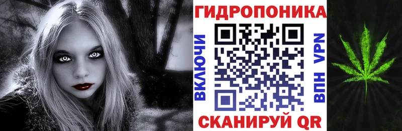 Шишки марихуана индика Гвардейск